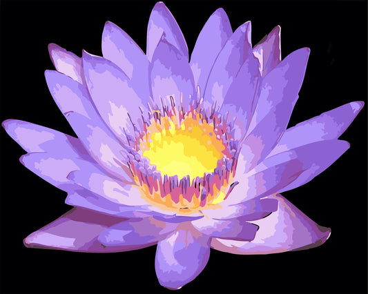 40X50CM Lotus Flower DIY Oil Painting By Numbers