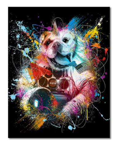 Dog No Framed DIY Oil Painting By Numbers 40*50CM