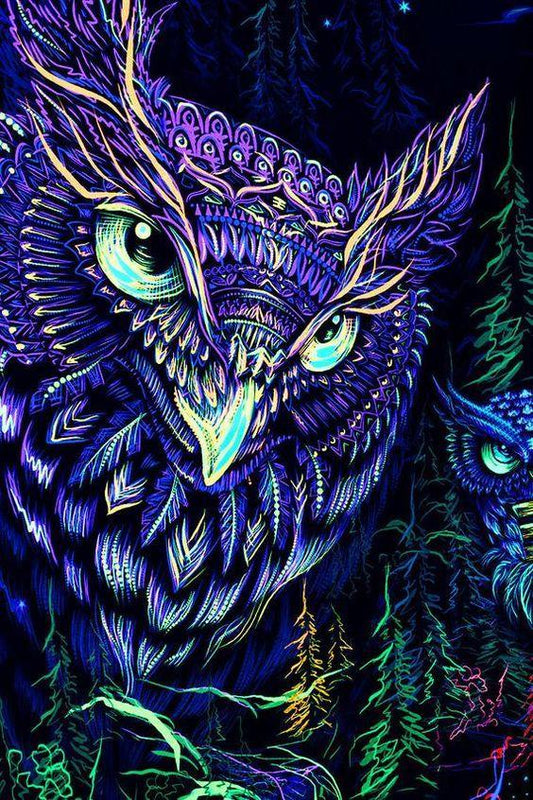 30x40cm Full Diamond Owl Embroidery Rhinestone LD117